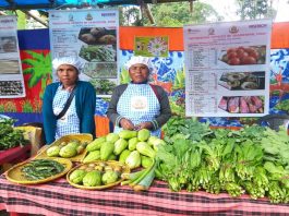 Farmers in India's northeastern state of Assam | Licas news