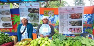 Farmers in India's northeastern state of Assam | Licas news