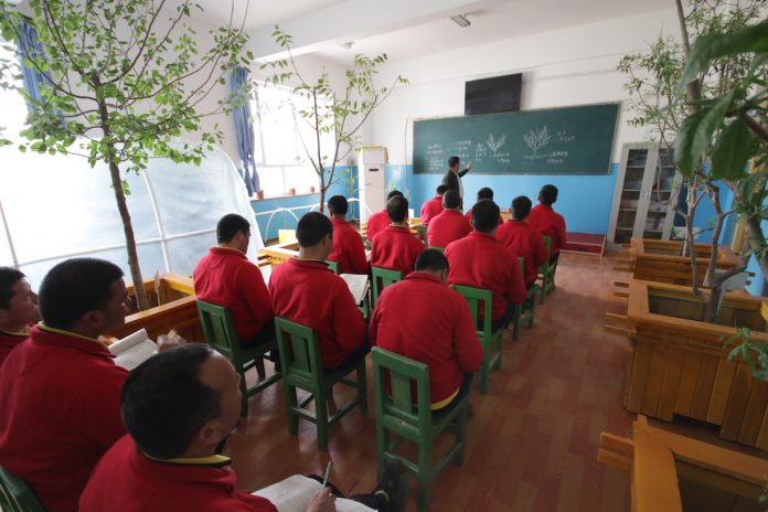 learning gardening in a re-education camp