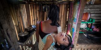 Licas news