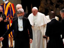 BI_Pope Francis during the weekly general audience
