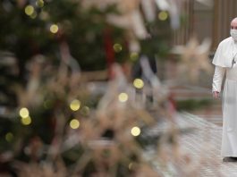 Pope Francis with Christmas tree in foreground