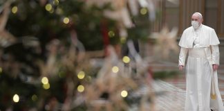 Pope Francis with Christmas tree in foreground