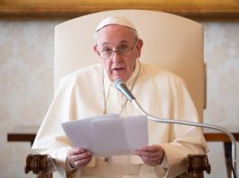 Pope Francis holds weekly audience at the Vatican