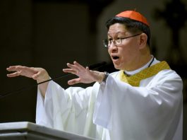 Cardinal Luis Antonio Tagle