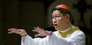 Cardinal Luis Antonio Tagle