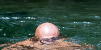 Bald head in water