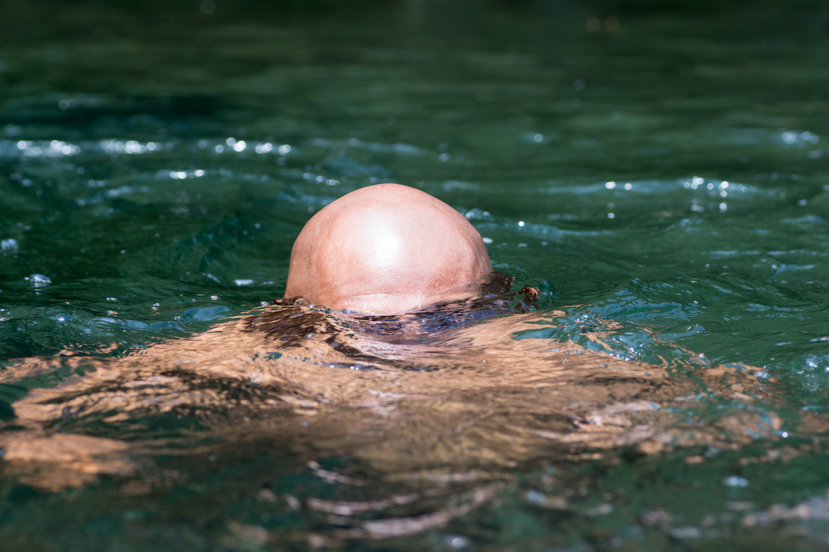 Bald head in water