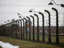 Holocaust Auschwitz-Birkenau Camp