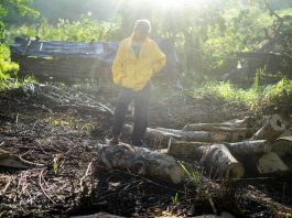 A man stands on the ground where he burned wood and excavated soil to make charcoal