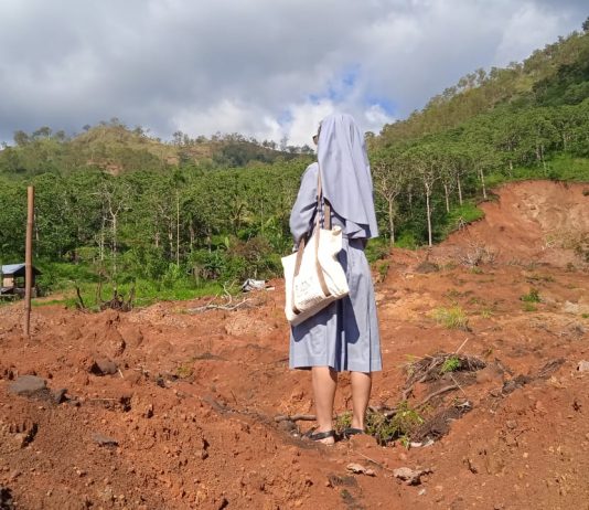 A nun standing among cyclone desvasted landscape | LiCAS.news