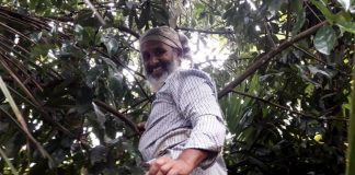 Indian village banks on tree mortgages in bid to go carbon-neutral