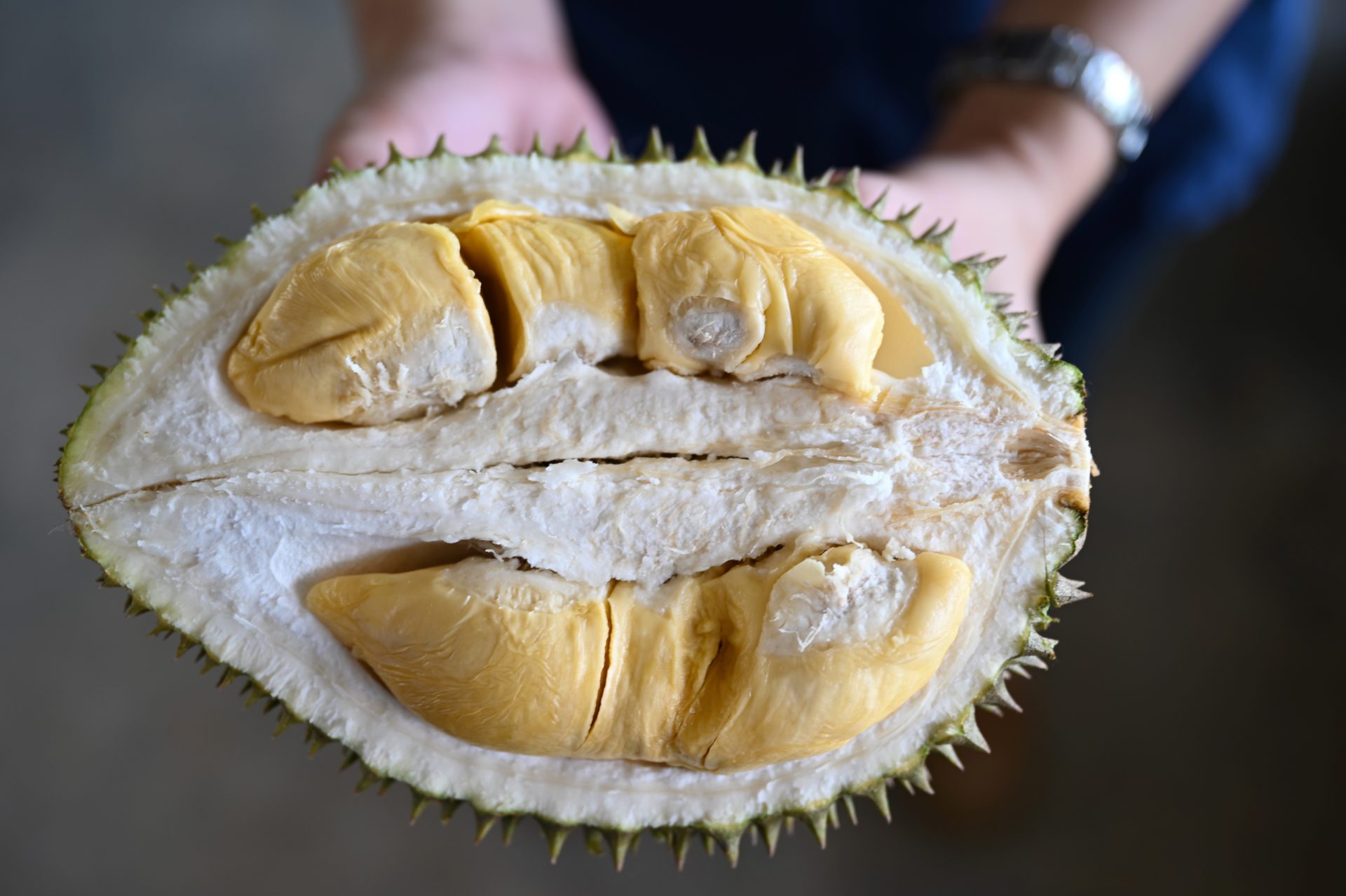 From drones to sensors, Malaysian durian grower goes hightech LiCAS