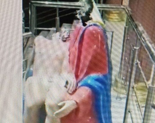 Vandalized Marian statue in Patti