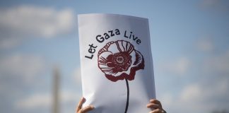 Pope Francis renews appeal for peace amidst ‘desperate’ situation in Gaza