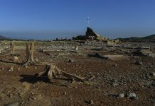 Philippine Church urged to act before El Niño worsens hunger, water shortages