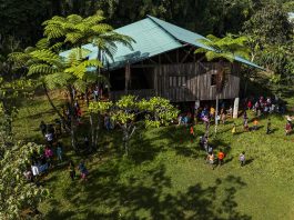 Aerial photo by drone of forest in Bendum
