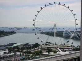 Singapore Flyer observation wheel with cargo ships in the background