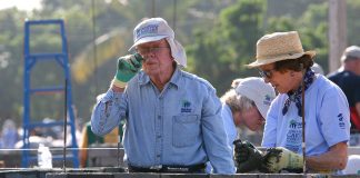 President Jimmy Carter and wife Rosalynn working on a building site in the sun.