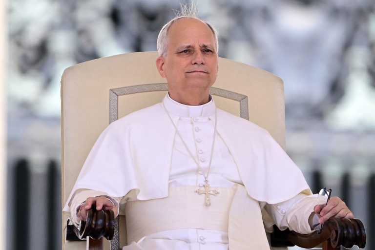Pope Leo XIV meets Pontifical Commission for the Protection of Minors