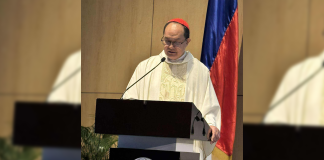Cardinal David warns corruption, greed fueling ecological crisis in the Philippines