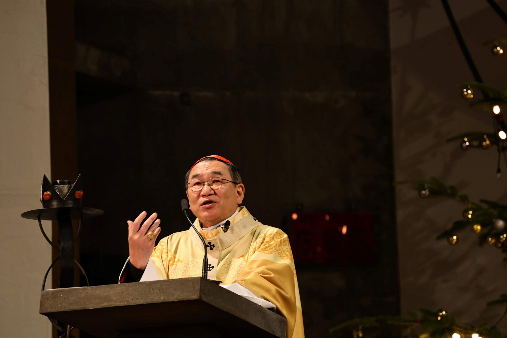 Japanese cardinal presses Church to confront war rhetoric, defend human dignity