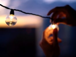 Light bulbs at dusk