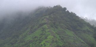 When love becomes way of life | How religious community quietly transforms lives in rural India