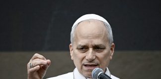 Pope Leo XIV: Planes should bring peace, not war and destruction