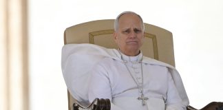 Pope at Audience: ‘Every baptized person is to bear consistent witness to Christ’
