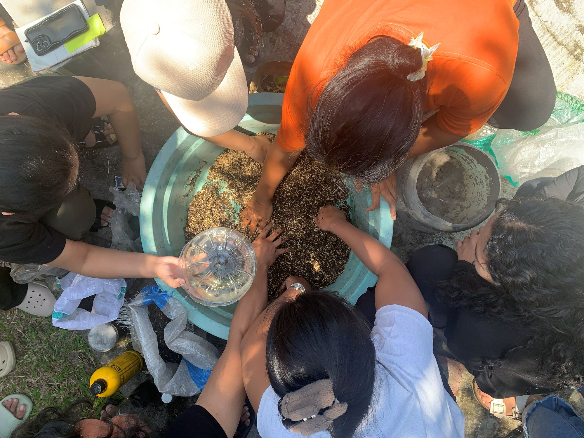 Young Catholics in Indonesia take on ecological mission rooted in Laudato Si’ formation