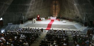 Church must move beyond words to lived witness, Tokyo cardinal says