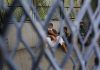 Malaysia sends first Myanmar migrants home under disputed return program