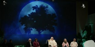 When swords become plowshares: The ecology of peace