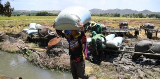 Philippine church group warns lack of El Niño response puts farmers, food security at risk