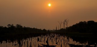 Margins can no longer adapt as world nears 1.5°C overshoot
