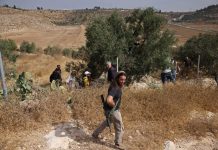 French archbishop threatened as Israeli settlers attack West Bank olive harvest