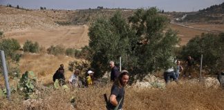 French archbishop threatened as Israeli settlers attack West Bank olive harvest