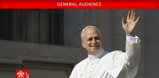 Pope at Audience: Faith enriches every culture with its positive outlook